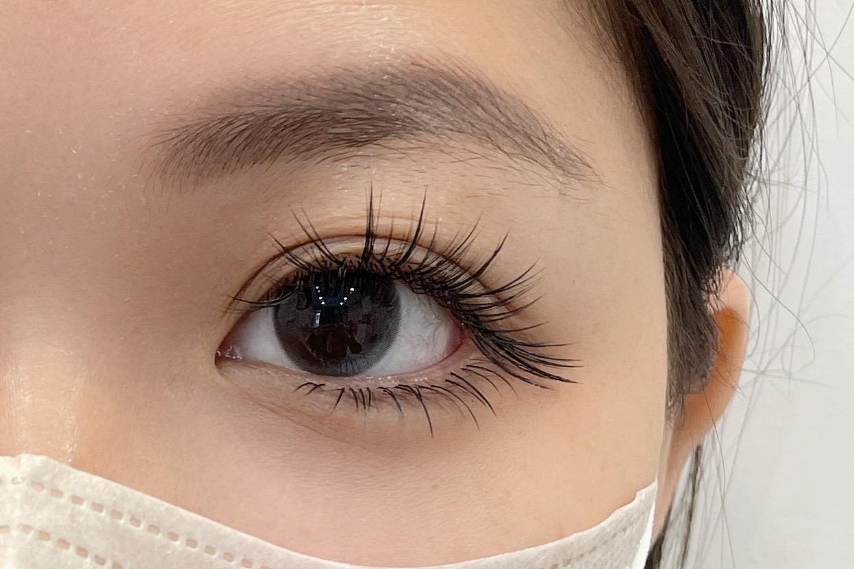 Not Late Lash